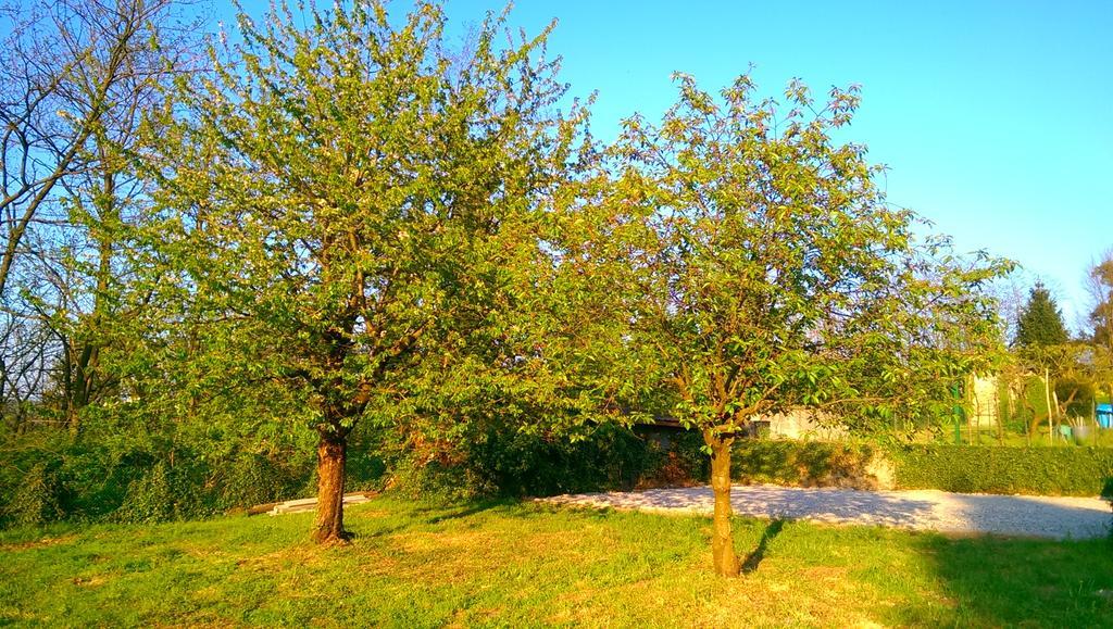 B&B Vinago Belvedere Mornago 외부 사진